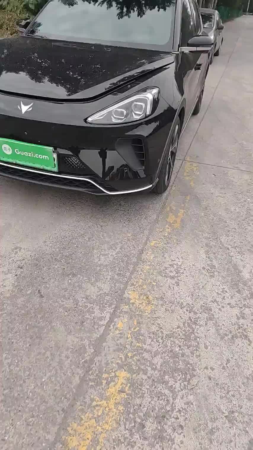 ARCFOX极狐 极狐 阿尔法T(ARCFOX αT) 2024款 600D 森林版PRO 320kW检测视频1