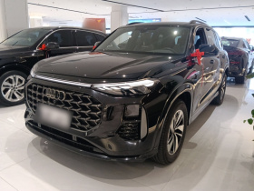 奥迪Q6 2023款 40 TFSI quattro 观云型 Light 飞骑套装