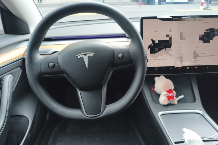 特斯拉 Model 3 2022款 后轮驱动版中控内饰13