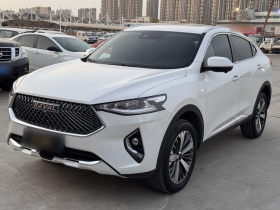 哈弗F7x 2021款 1.5T 两驱极智潮玩版