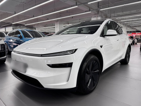 特斯拉 Model Y 2025款 后轮驱动版