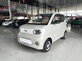 五菱汽车 宏光MINIEV 2024款 第三代 215km 青春版