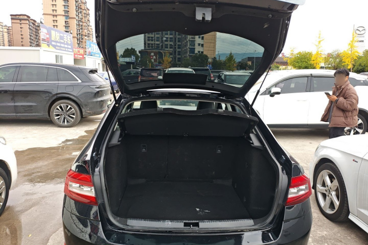 斯柯达 明锐 2018款 TSI230 DSG豪华版局部细节23