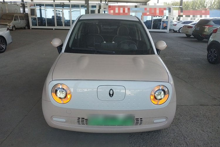 欧拉黑猫 2022款 301km 基础型 三元锂车身外观2