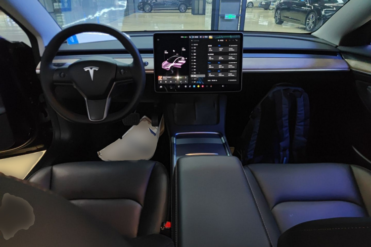 特斯拉 Model 3 2021款 标准续航后驱升级版 3D6中控内饰12