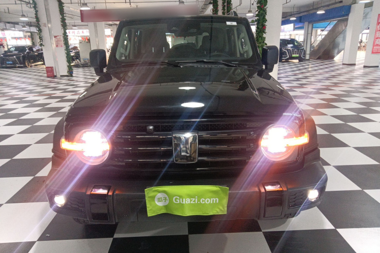 坦克300 2024款 2.0T 挑战者车身外观2