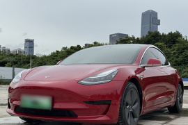 特斯拉 Model 3 2019款 标准续航后驱升级版