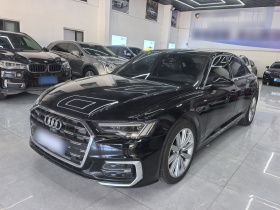 奥迪A6L 2023款 改款 45 TFSI 臻选动感型