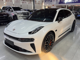 极氪001 2024款 YOU版 100kWh 四驱