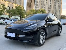 特斯拉 Model Y 2021款 标准续航后驱版