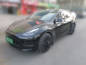 特斯拉 Model Y 2021款 标准续航后驱版