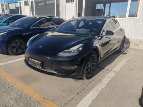 特斯拉 Model 3(进口) 2019款 长续航后驱版
