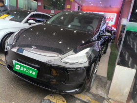 特斯拉 Model Y 2022款 后轮驱动版