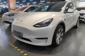 特斯拉 Model Y 2021款 长续航全轮驱动版