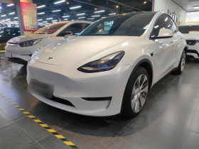 特斯拉 Model Y 2021款 长续航全轮驱动版