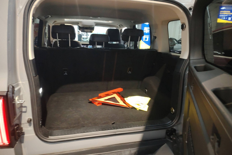 坦克300 2021款 越野版 2.0T 征服者局部细节23