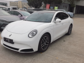 欧拉闪电猫 2022款 555km 尊贵版