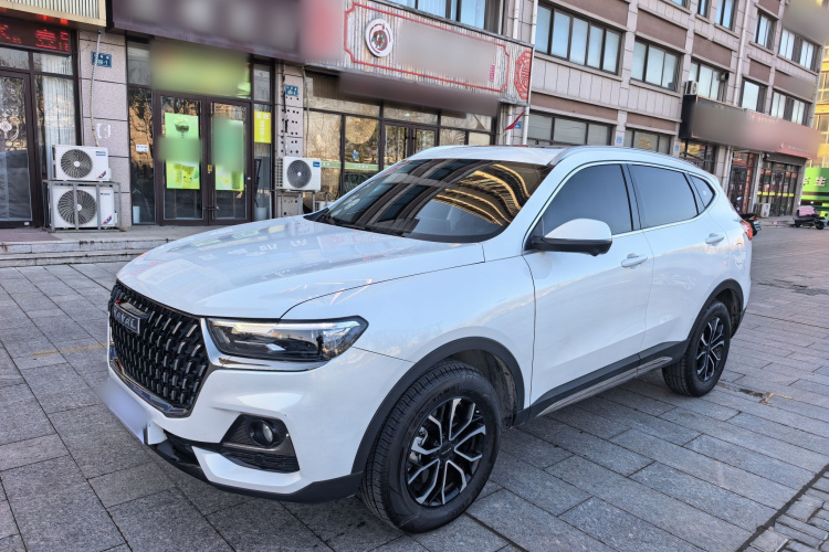 哈弗H6 2023款 国潮版 1.5T 自动都市版局部细节36