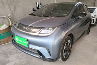 比亚迪 海豚 2024款 荣耀版 420km 时尚版