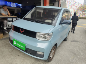 五菱汽车 宏光MINIEV 2020款 自在款 磷酸铁锂
