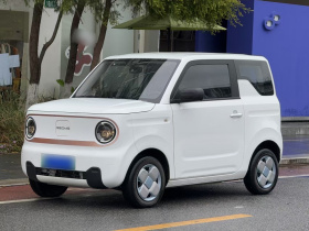 吉利银河 2024款 熊猫mini 200km 耐力熊
