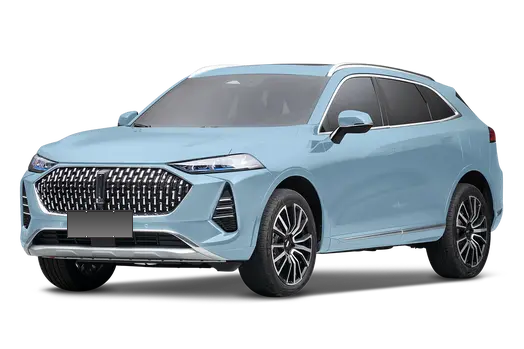 魏牌 摩卡新能源