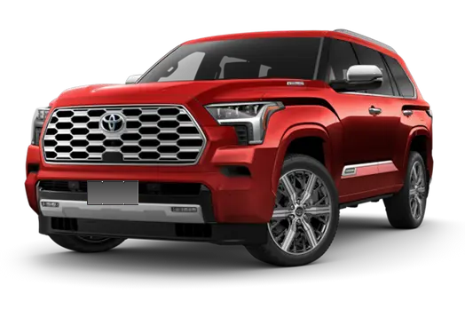 红杉（平行进口）