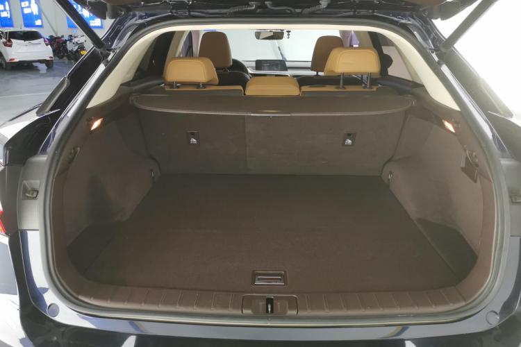 雷克萨斯RX 2016款 300 四驱典雅版 国V机舱底盘23