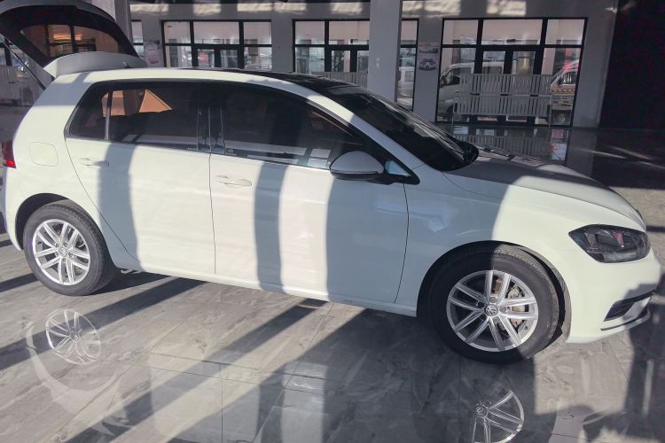 大众 高尔夫 2019款 1.6L 自动舒适型 国V车身外观6002