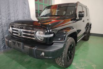 坦克300 2021款 城市版 2.0T 我看型