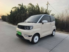 奇瑞 QQ冰淇淋 2025款 205km 元气版