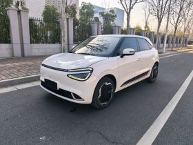 东风纳米 纳米01 2024款 焕新版 330 Plus智+