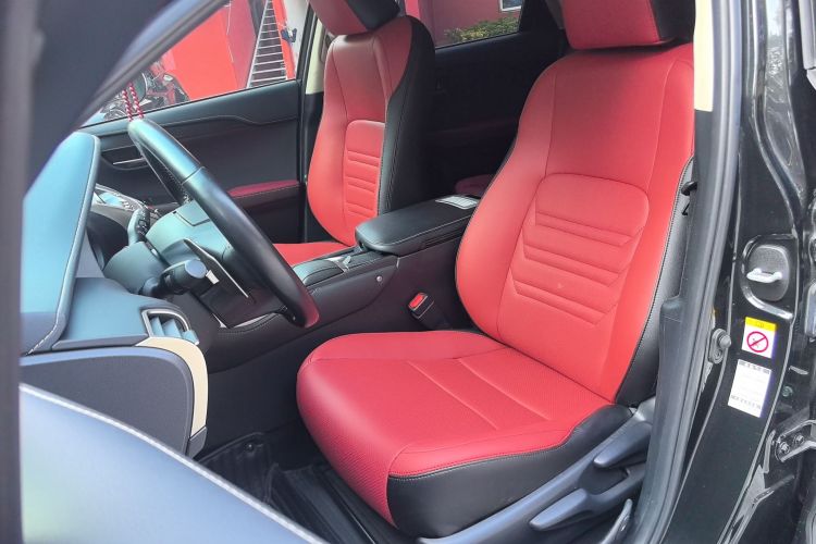 雷克萨斯NX 2018款 200 前驱 锋行版 国V局部细节19