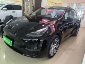 特斯拉 Model Y 2021款 标准续航后驱版
