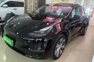 特斯拉 Model Y 2021款 标准续航后驱版