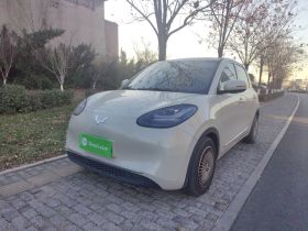 五菱汽车 五菱缤果 2023款 203km 舒享款