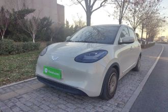 五菱汽车 五菱缤果 2023款 203km 舒享款