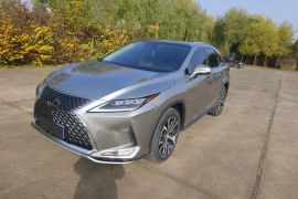 雷克萨斯RX 2020款 改款 300 四驱典雅版