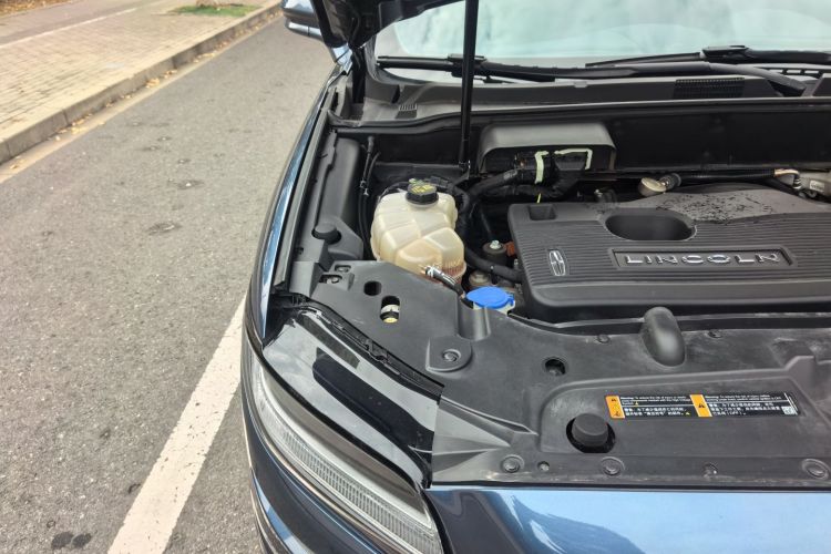 林肯 航海家(进口) 2019款 2.0T 两驱尊悦版 国VI局部细节9006