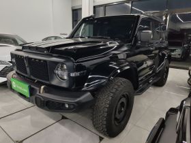 坦克300 2023款 2.0T 铁骑02