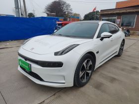 极氪001 2022款 超长续航单电机 WE版