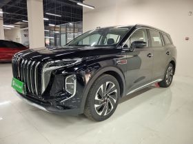 红旗HS7 PHEV 2024款 2.0T PHEV 四驱旗畅版 6座