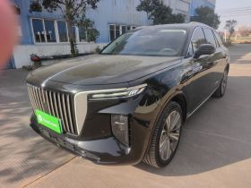 红旗E-HS9 2021款 460km 旗享版 六座