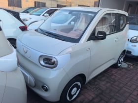 五菱汽车 宏光MINIEV 2024款 第三代 215km 青春版