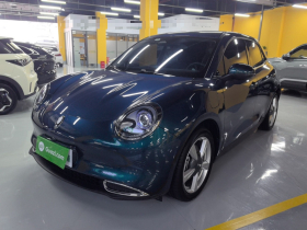 欧拉好猫 2023款 401km标准续航 豪华型 磷酸铁锂