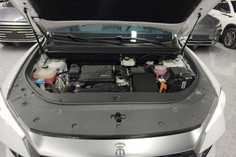 比亚迪 宋Pro新能源 2023款 冠军版 DM-i 71KM领先型局部细节24