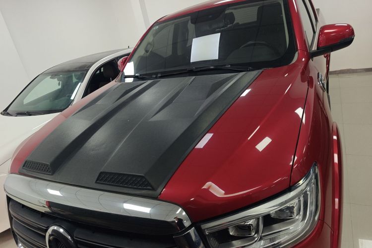 长城 炮 2019款 2.0T自动汽油四驱舒适版GW4C20B车身外观6005