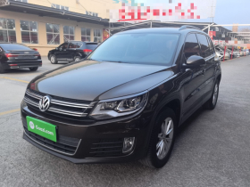 大众 途观 2017款 300TSI 自动两驱丝绸之路舒适版