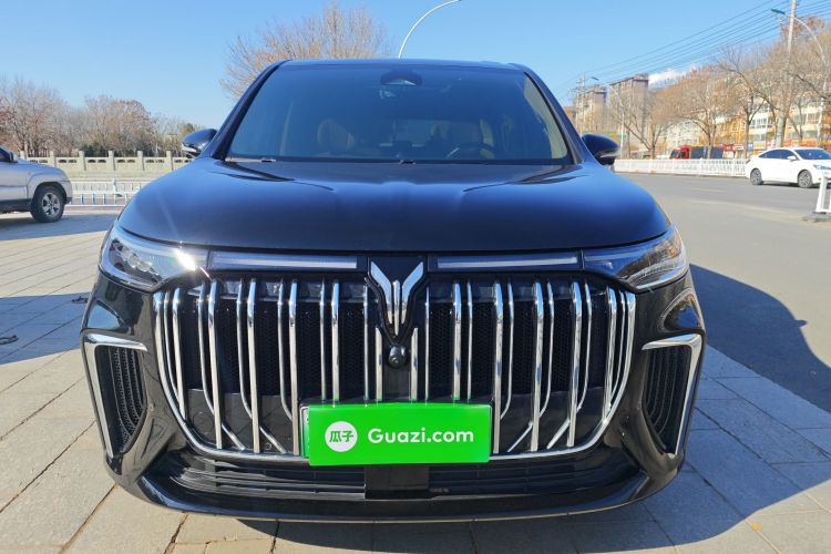 岚图汽车 岚图梦想家 2024款 PHEV 超长续航尊贵版车身外观6001