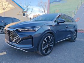 比亚迪 唐新能源 2022款 DM-p 215KM 四驱旗舰型